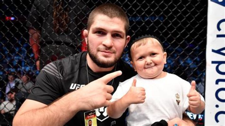 Hasbulla Magomedov The Living Meme Explained