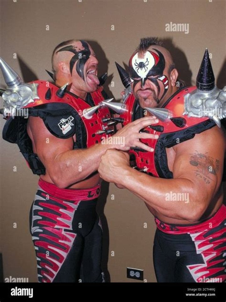 Hawk and Animal of The Legion of Doom, a.k.a. The Road Warriors