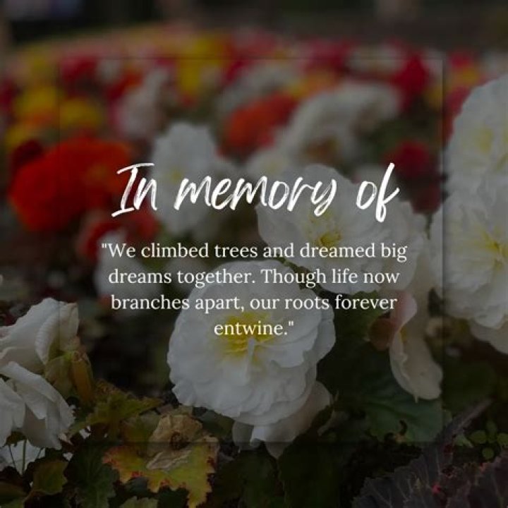 Heartfelt Tribute Messages To A Deceased Friend: Honoring Their Memory