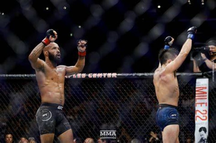 henry cejudo demetrious johnson