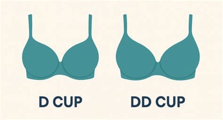 Here's How To Choose The Best Bra For Your Specific Shape
