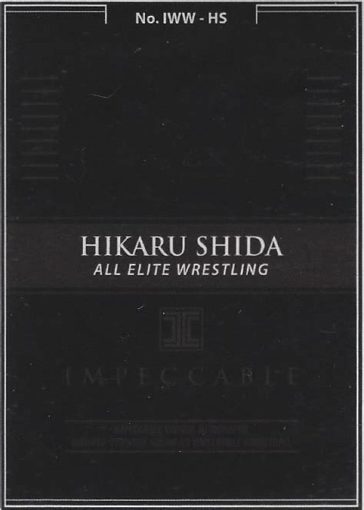 Hikaru Shida ALL Elite Wrestling