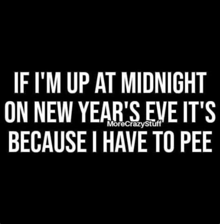 Hilarious New Years Eve Memes to Share With Friends Lola Lambchops
