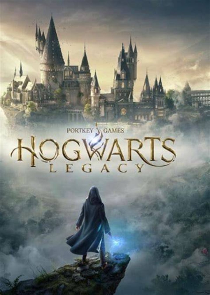 Hogwarts Legacy Fan Casting on myCast