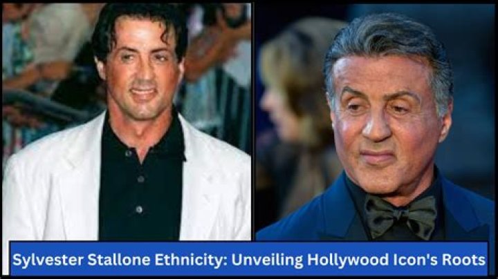 Hollywood Icon Sylvester Stallone: The Legacy.