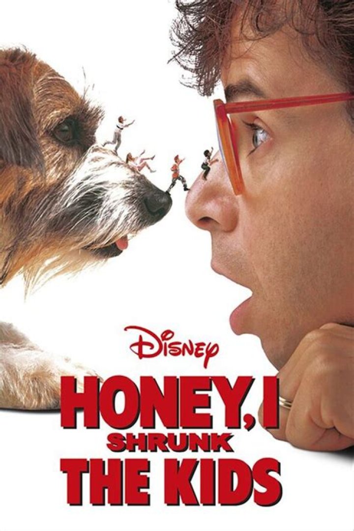Honey , I Shrunk The Kids (remake)