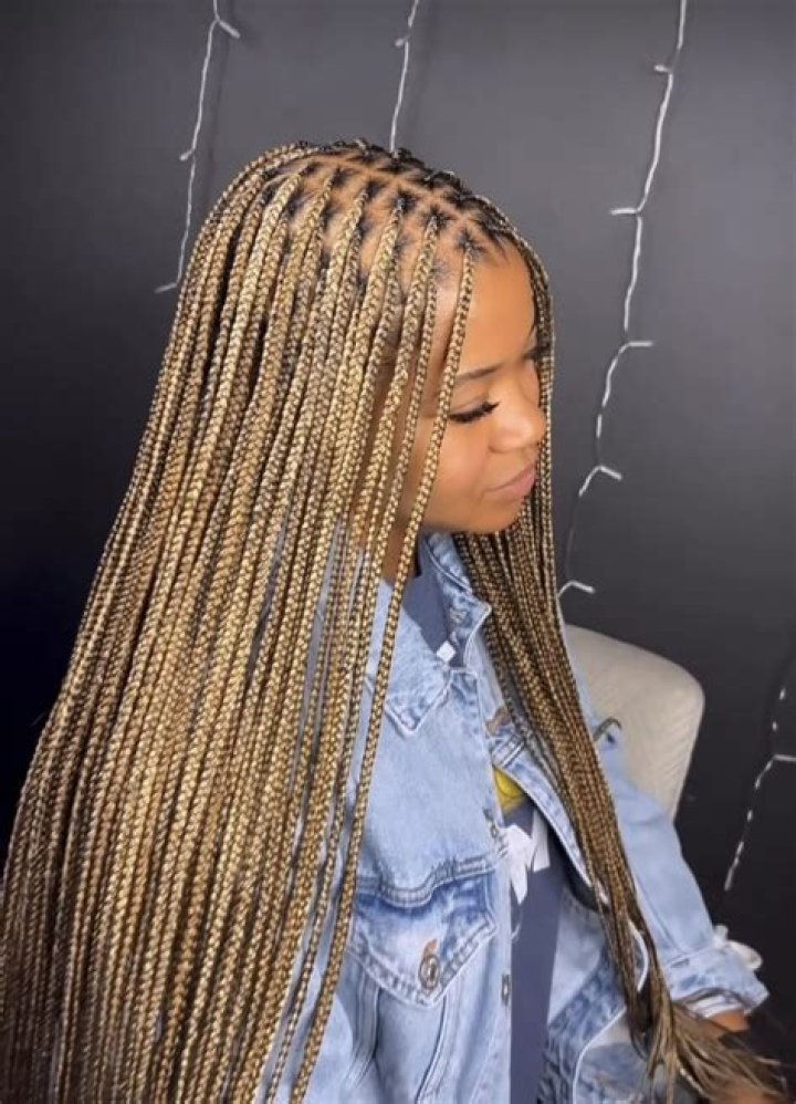 Honey Blonde Knotless Box Braids With Color / 24 inches length 5packs