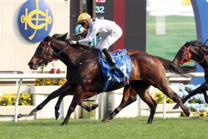 Horse Racing Icon Golden Sixty and Winx’s Epic Journey, Career Highlights,
Earnings and More