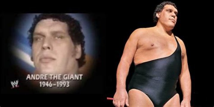 How did Andre The Giant Die? The tragic story behind WWE Superstar
