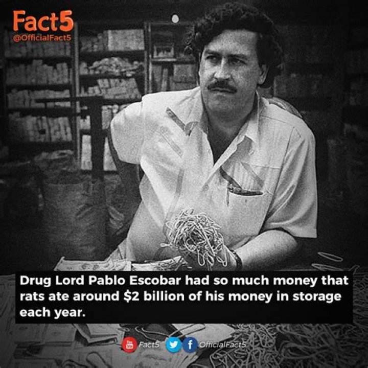 How Much Did Pablo Escobar Make Per Day? A Deep Dive Into The Wealth Of The Infamous Drug Lord