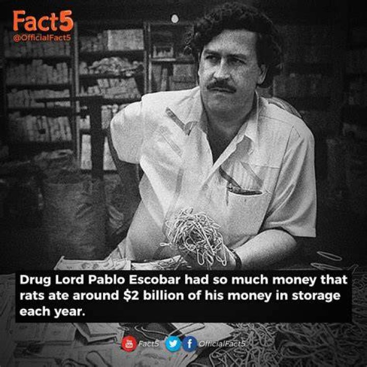 How Much Money Did Pablo Escobar Make Per Day?