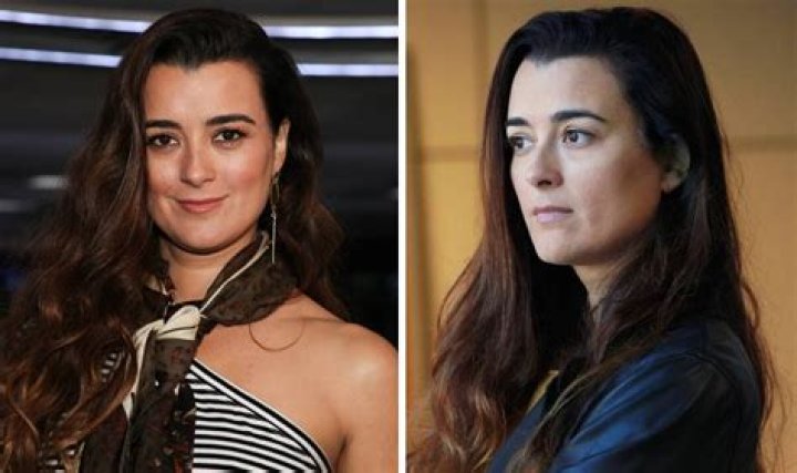 How Old Is Cote De Pablo's Daughter Tali?