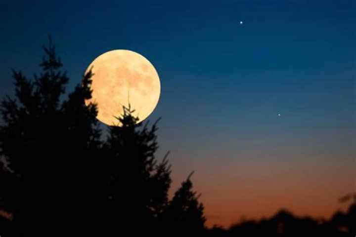 How The Jan. 17 Full Moon Will Affect You If You're A Pisces