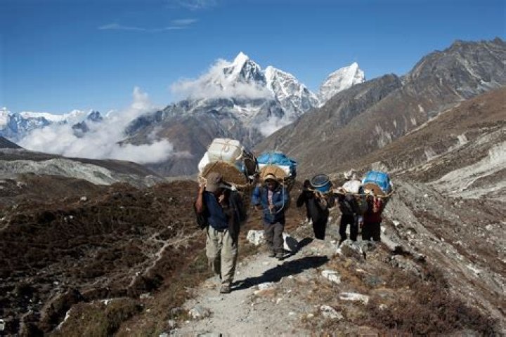 How To Keep Your Sherpas From Matting