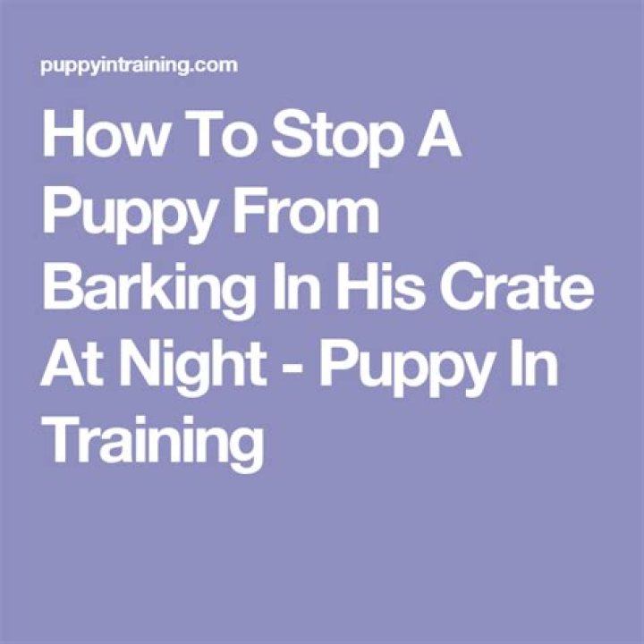 How to Stop Puppy from Crying in Crate and Why Dog Playpen is Better FXW