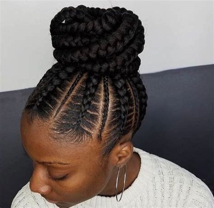howtomakeabunwithsinglebraidssinglebraidshairstylespictures