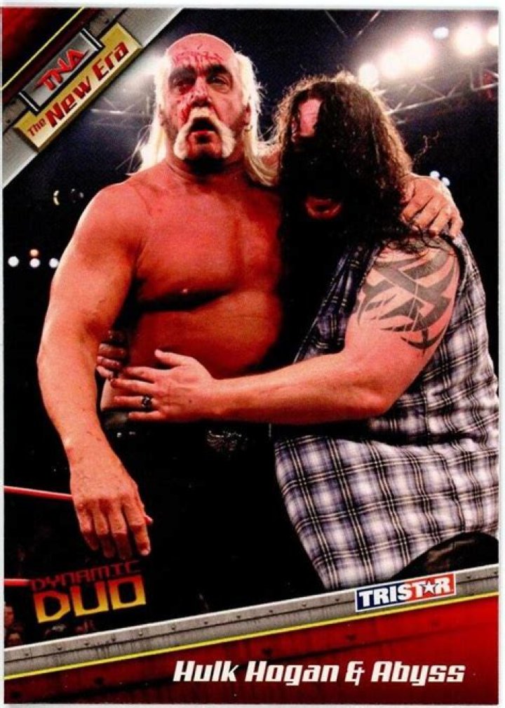 Hulk Hogan Abyss