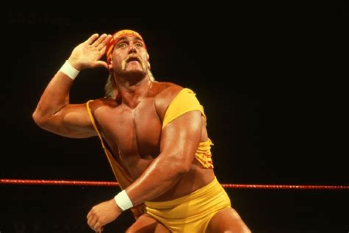 Hulk Hogan pointing at The Butcher
