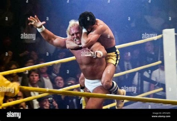 hulk hogan rocky 3