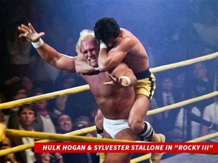 hulk hogan stallone rocky