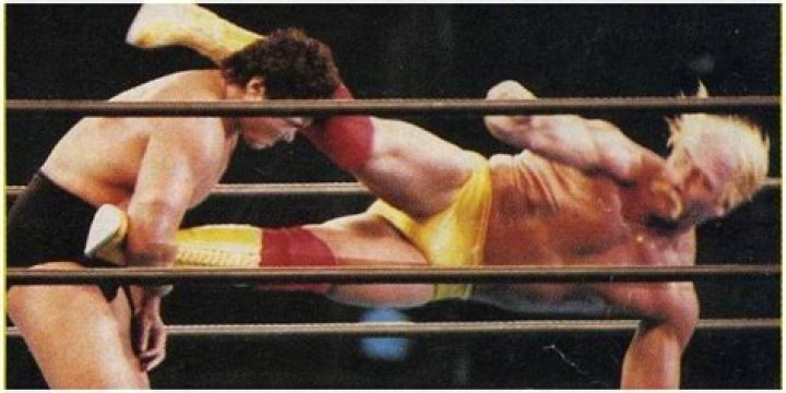 Hulk Hogan Vs. Genichiro Tenryu