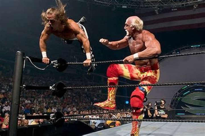Hulk Hogan vs Shawn Michaels, SummerSlam
