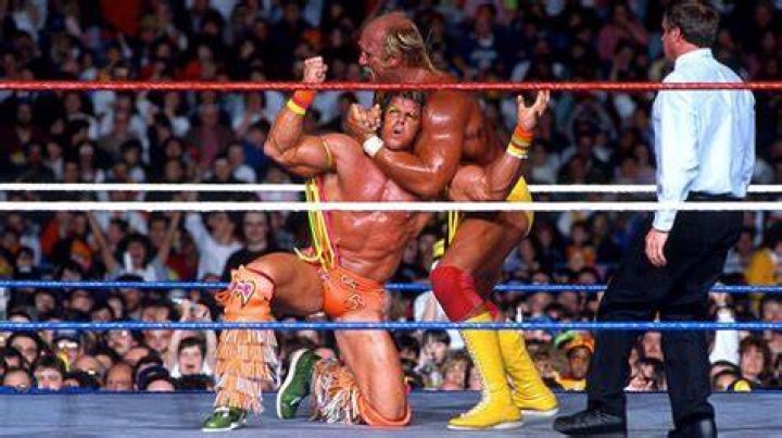 Hulk Hogan vs The Ultimate Warrior