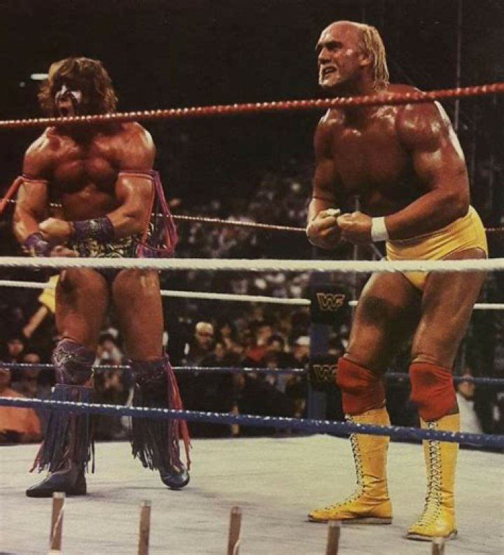 Hulk Hogan vs. Ultimate Warrior In WCW Is One Of Their Weirdest Feuds Ever