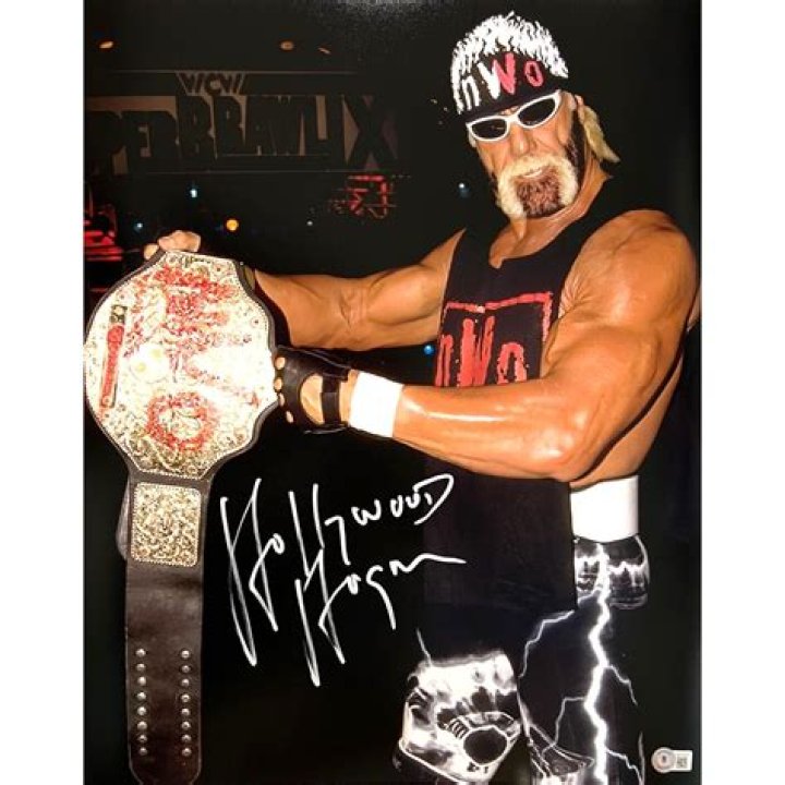 Hulk Hogan Was at His Meanest When He Vandalized the WCW World Heavyweight
Championship