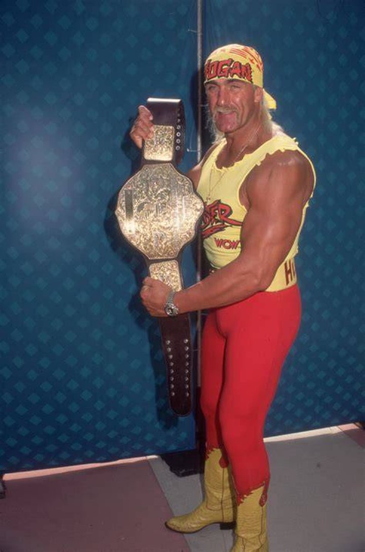 Hulk Hogan WCW Champion 2nd Reign 1996 Cropped