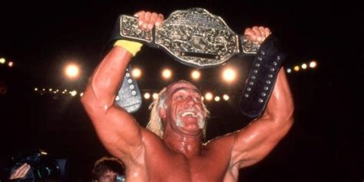 Hulk Hogan WCW Champion Cropped