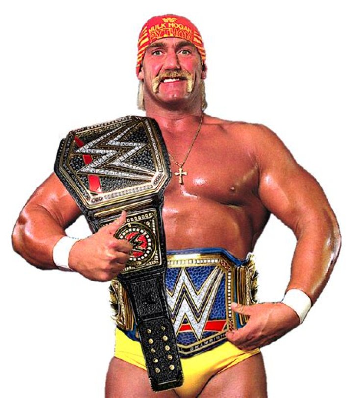 Hulk Hogan WWE Champion Cropped