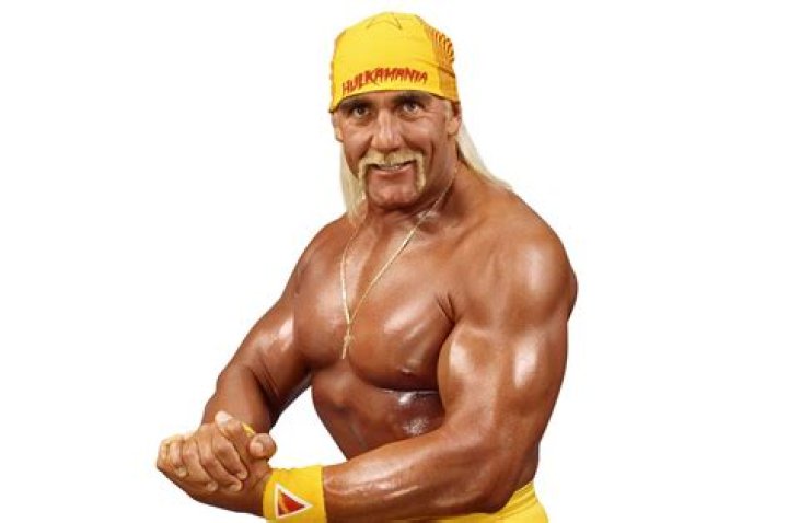 Hulk Hogan WWE Champion