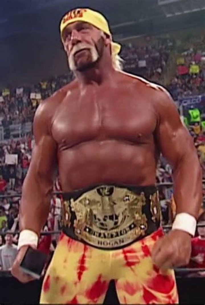 Hulk Hogan WWE Championship
