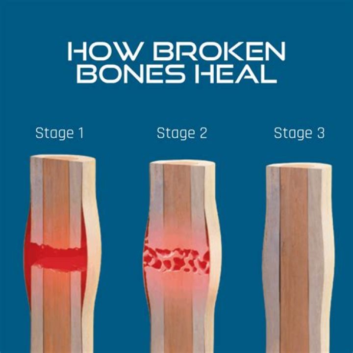 If you don&rsquo;t heal what hurt you, you will bleed on people who didn&rsquo;t