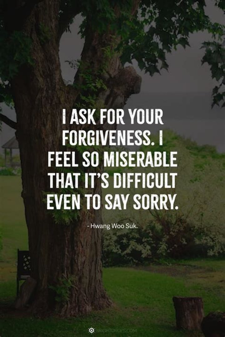 im sorry quotes im sorry quotes