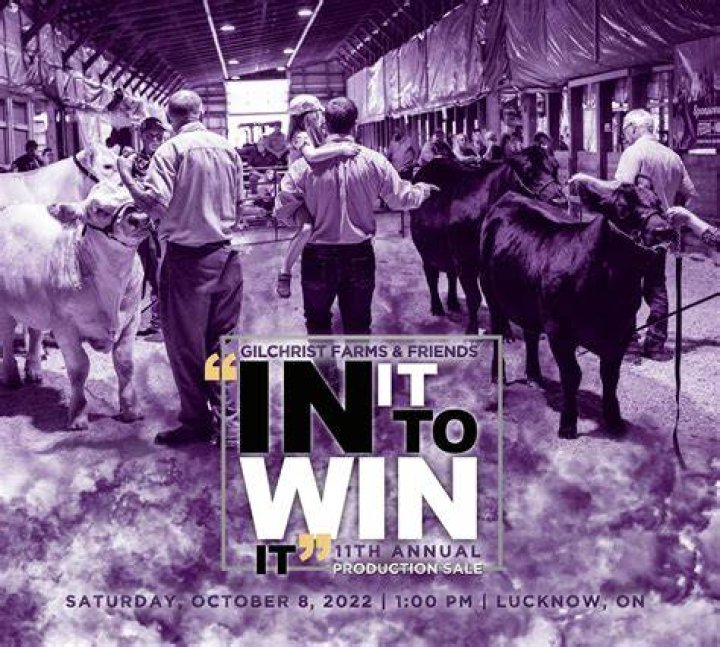 In It to Win It (1997) on myCast