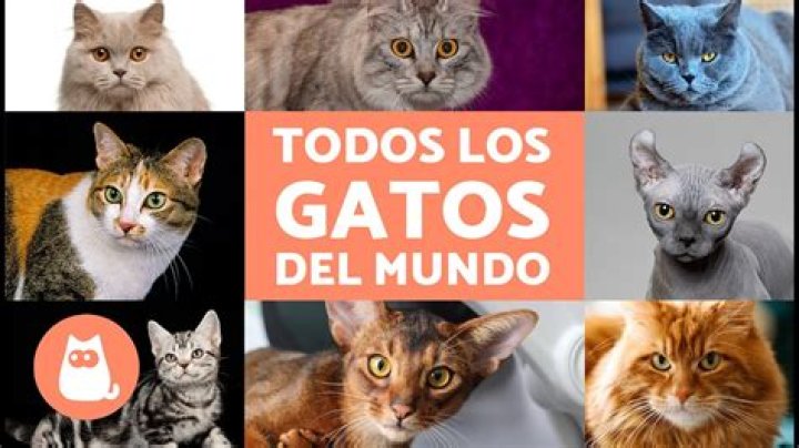 &iquest;Qui&eacute;n es Sondra Blust? La influencer viral por filtraci&oacute;n de video