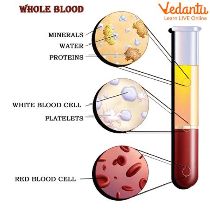 Is blood and water based on a true story?