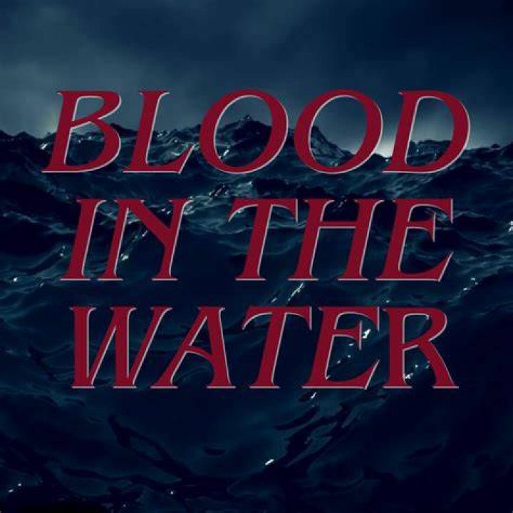 is blood and water on netflix?