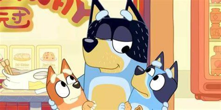 Is Bluey A Girl Or A Boy? Explained