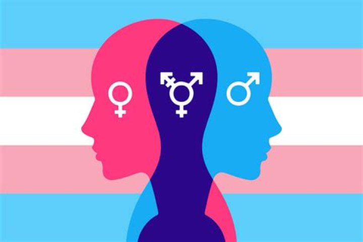 Is Brittany Griner Trans? Understanding Gender Identity And The Journey Of An Icon