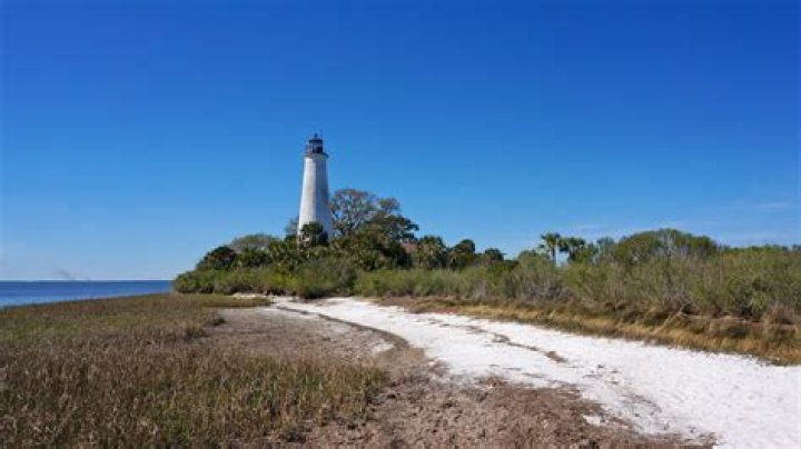 Is David Marks Florida Still Alive? Robert Durst's Wife, Net Worth and More