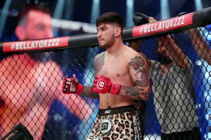 Is Dillon Danis Signed to the UFC or Bellator? All About Conor McGregor’s
Controversial Friend’s MMA Career