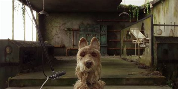 Isle of Dogs Rex Edward Norton