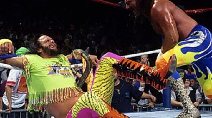 Jake The Snake Roberts And DDP Cropped