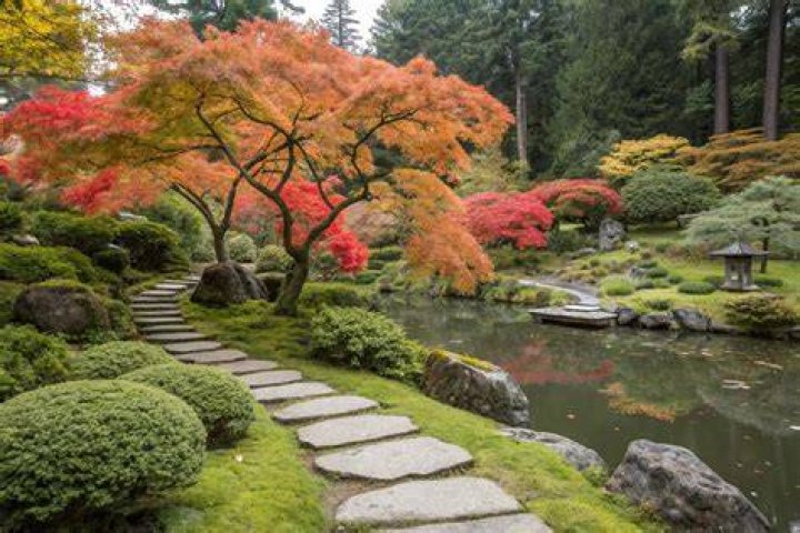 Japanese gardens are designed for quiet contemplation. Photo / Supplied
