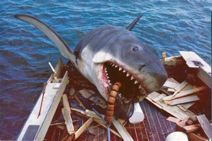 Jaws 