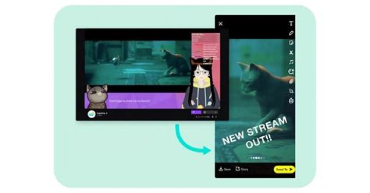 joyy.mei Instagram, Twitch Linktree