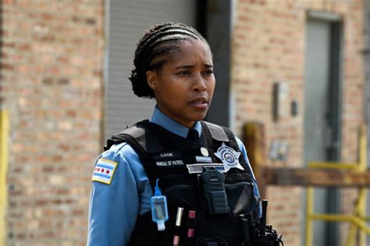 Julie Tay: The Rising Star Of Chicago PD